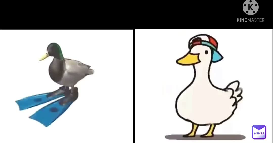 Who won?