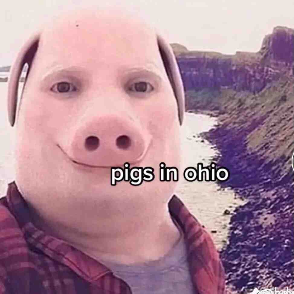 #memes