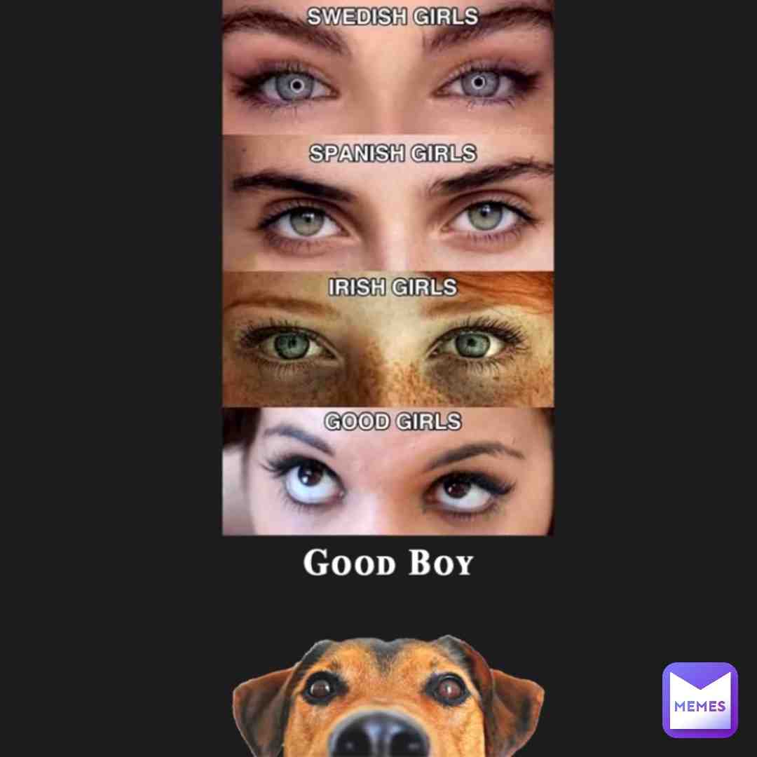 Meme shared by @thatonememeguy