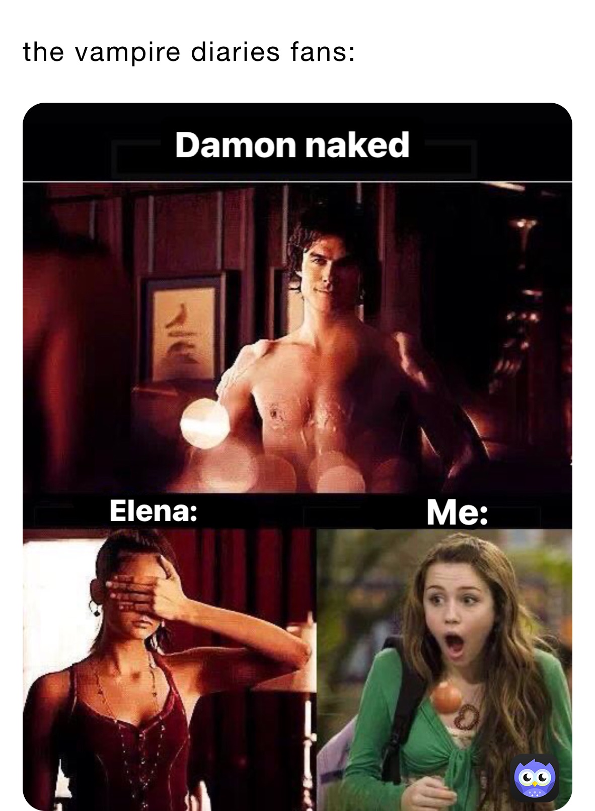 the vampire diaries fans:
