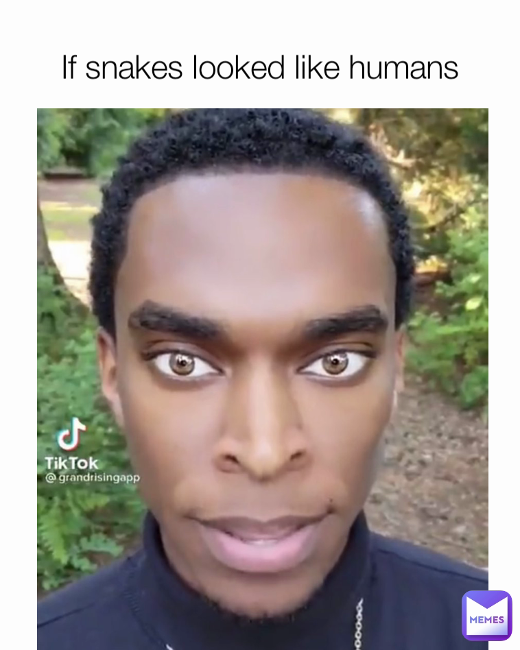 If snakes looked like humans | @KuteKitunes | Memes