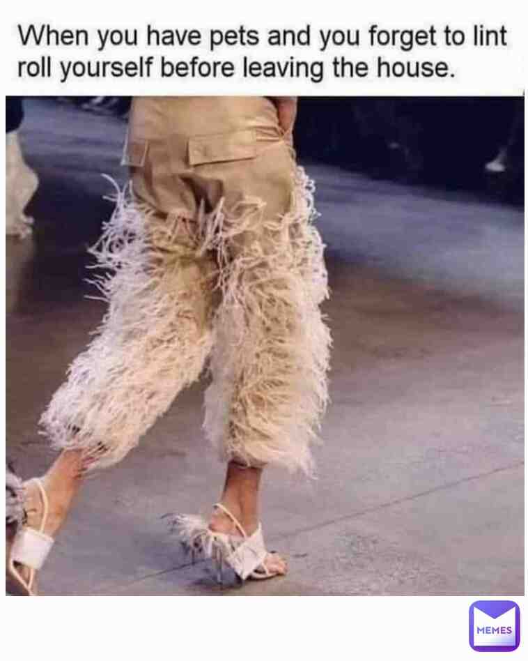 Meme preview