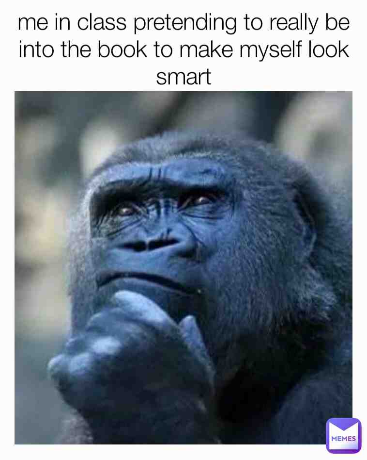 Meme preview