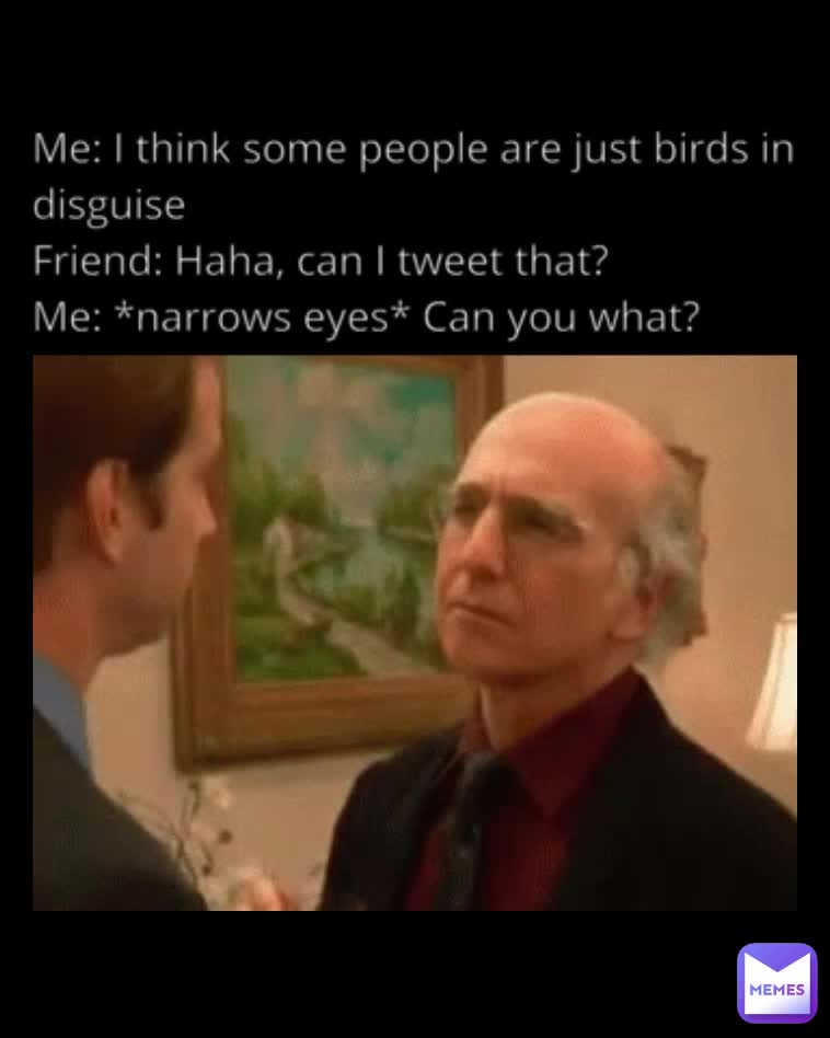 Meme preview