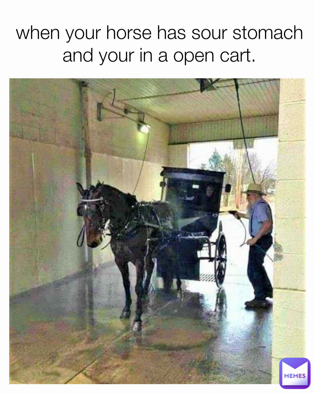 when your horse has sour stomach and your in a open cart.