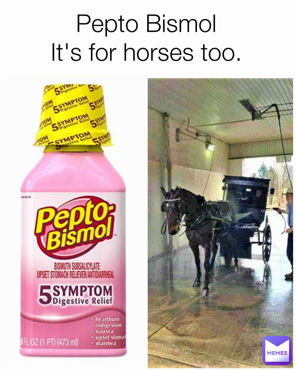 Pepto Bismol
It's for horses too.