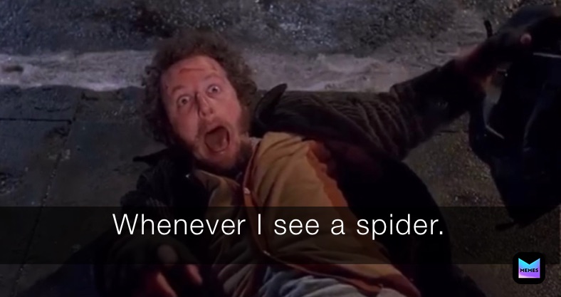 Meme by WingsOfFireHornet12