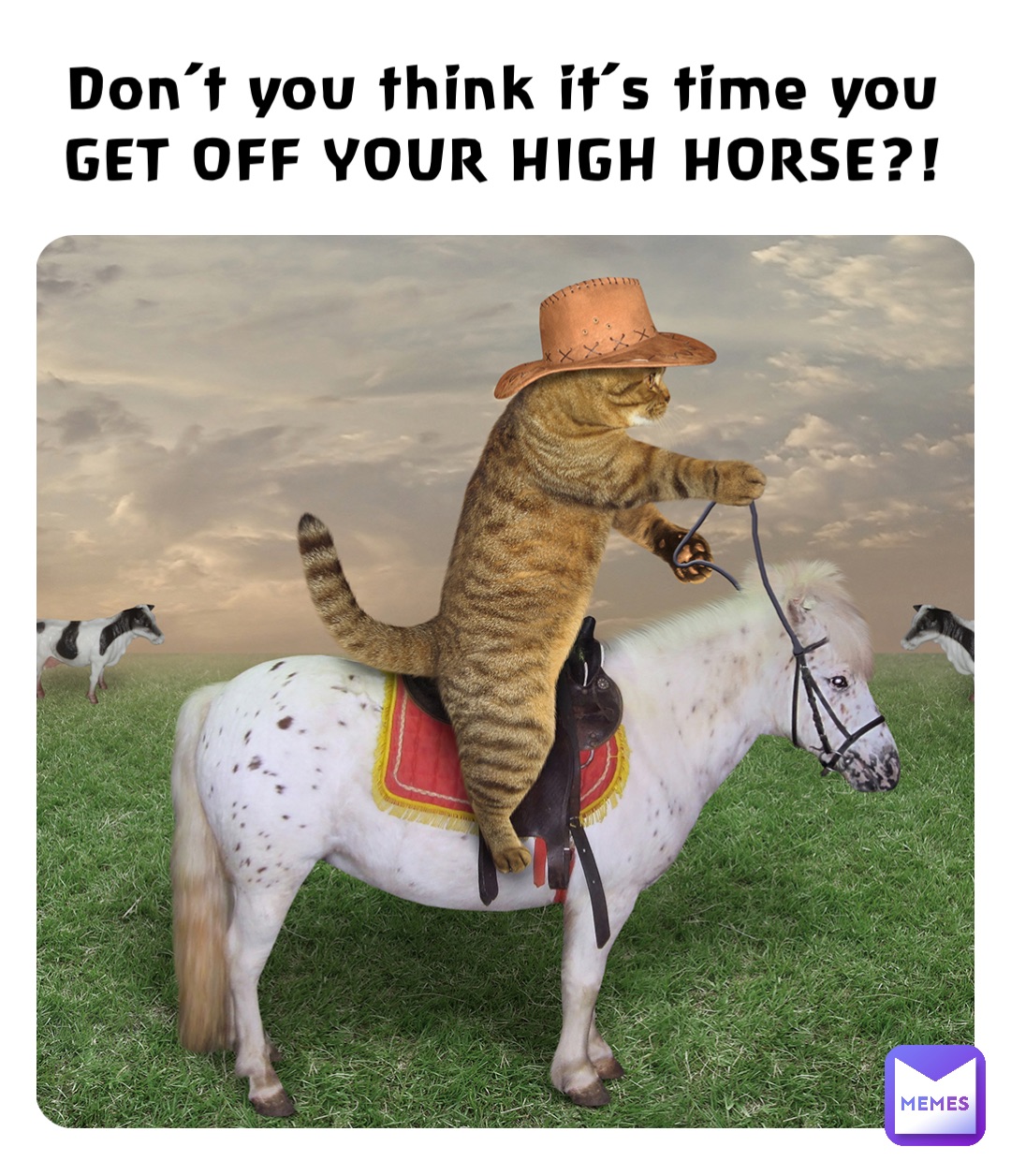 Don’t you think it’s time you
GET OFF YOUR HIGH HORSE?!