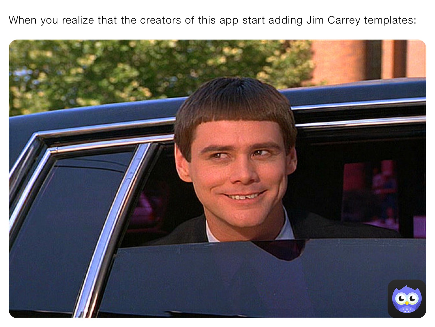 When you realize that the creators of this app start adding Jim Carrey templates: