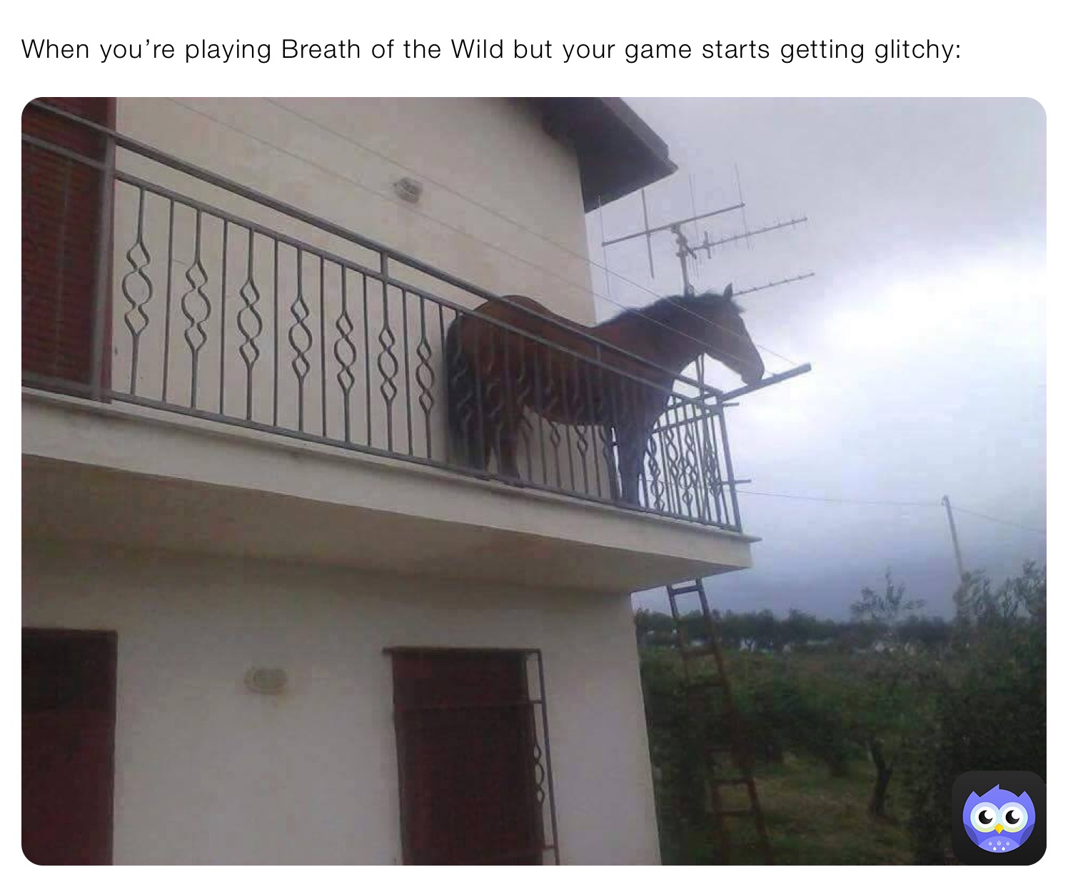 When you’re playing Breath of the Wild but your game starts getting glitchy: