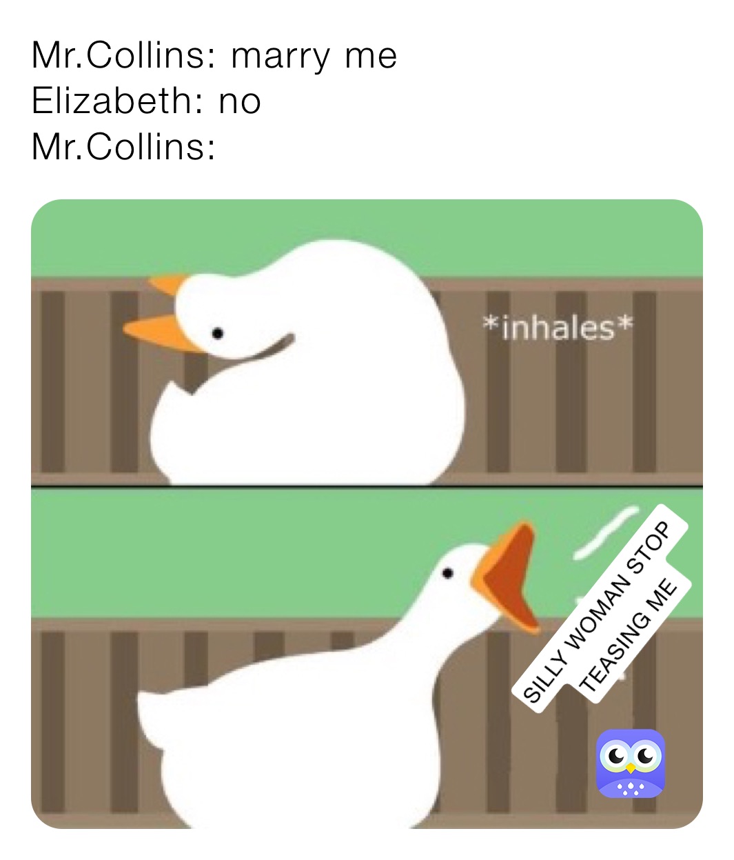 Mr.Collins: marry me 
Elizabeth: no
Mr.Collins: