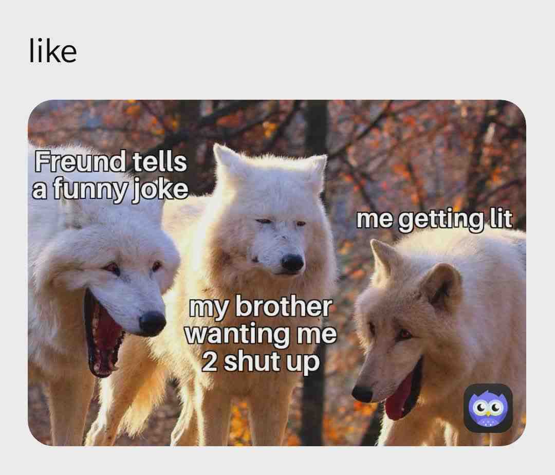 Meme preview