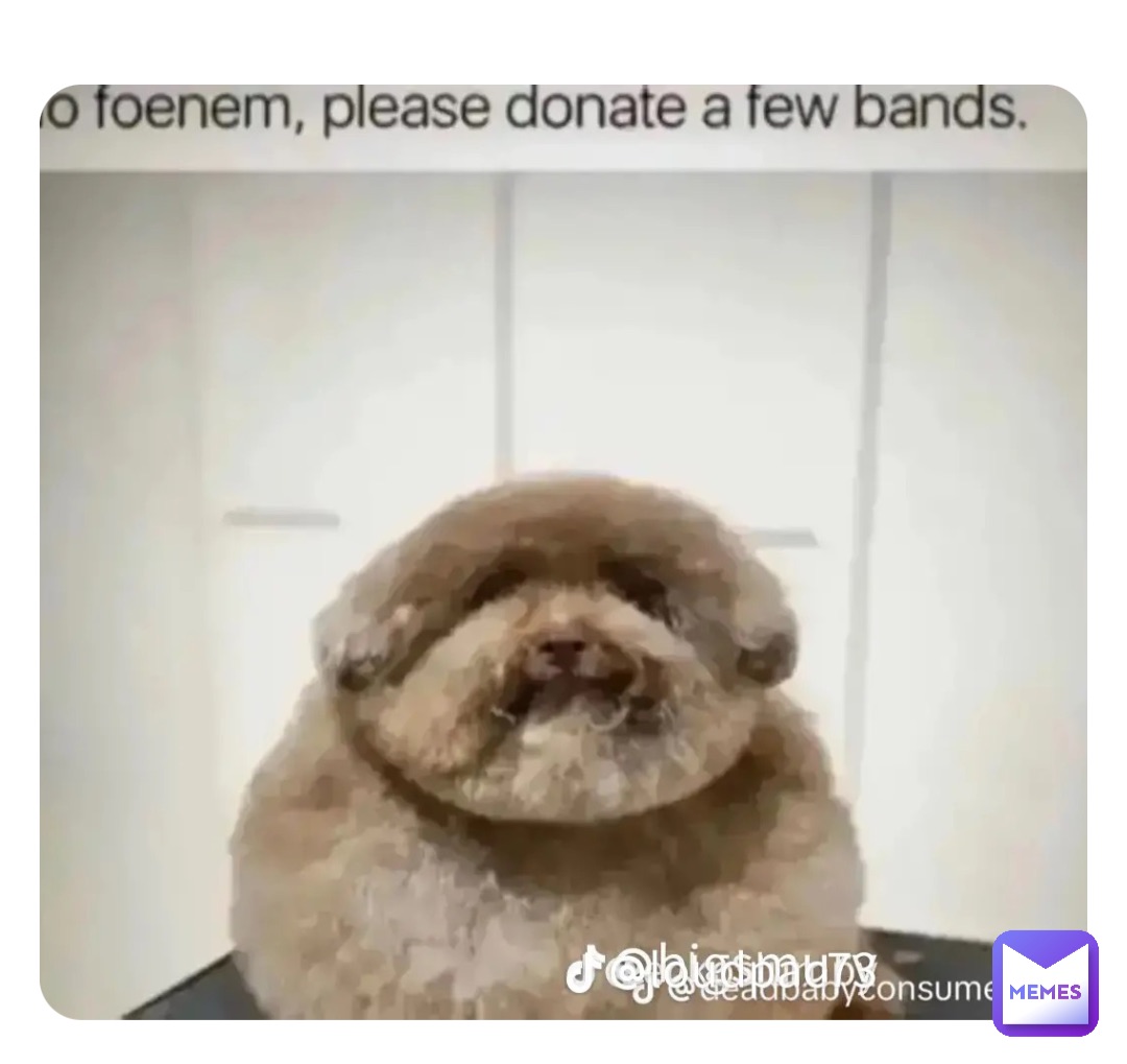 Meme by Fortnite_balls0215