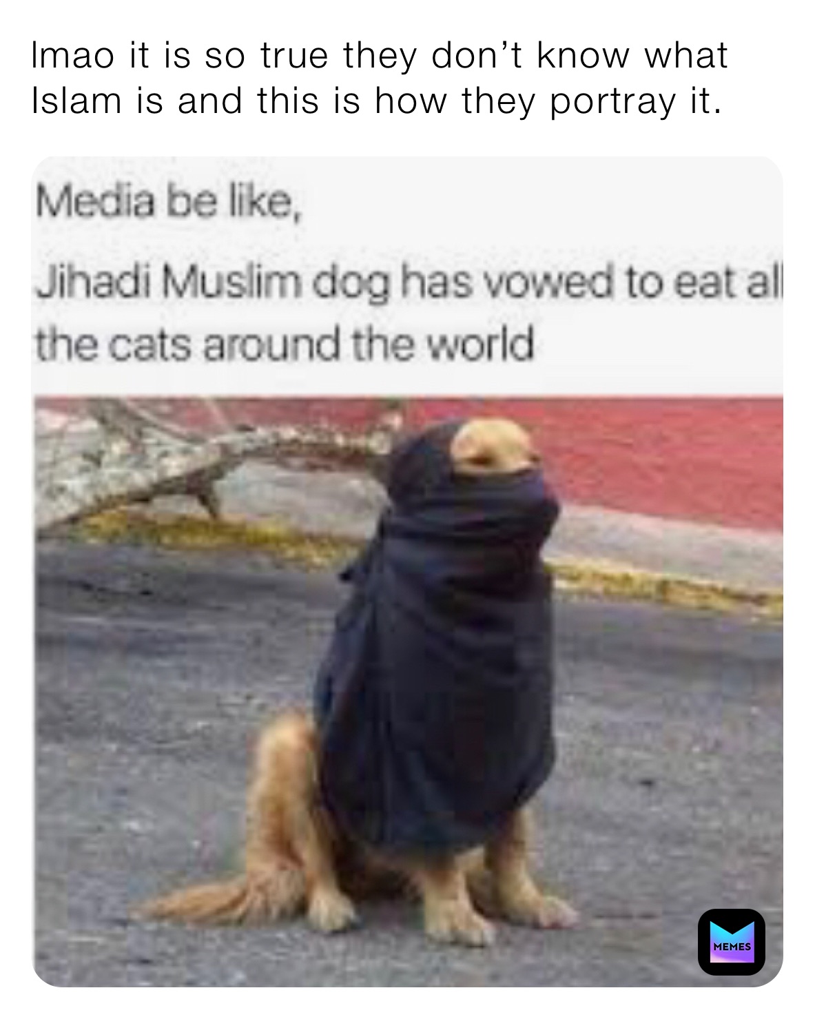 lmao it is so true they don’t know what Islam is and this is how they portray it.