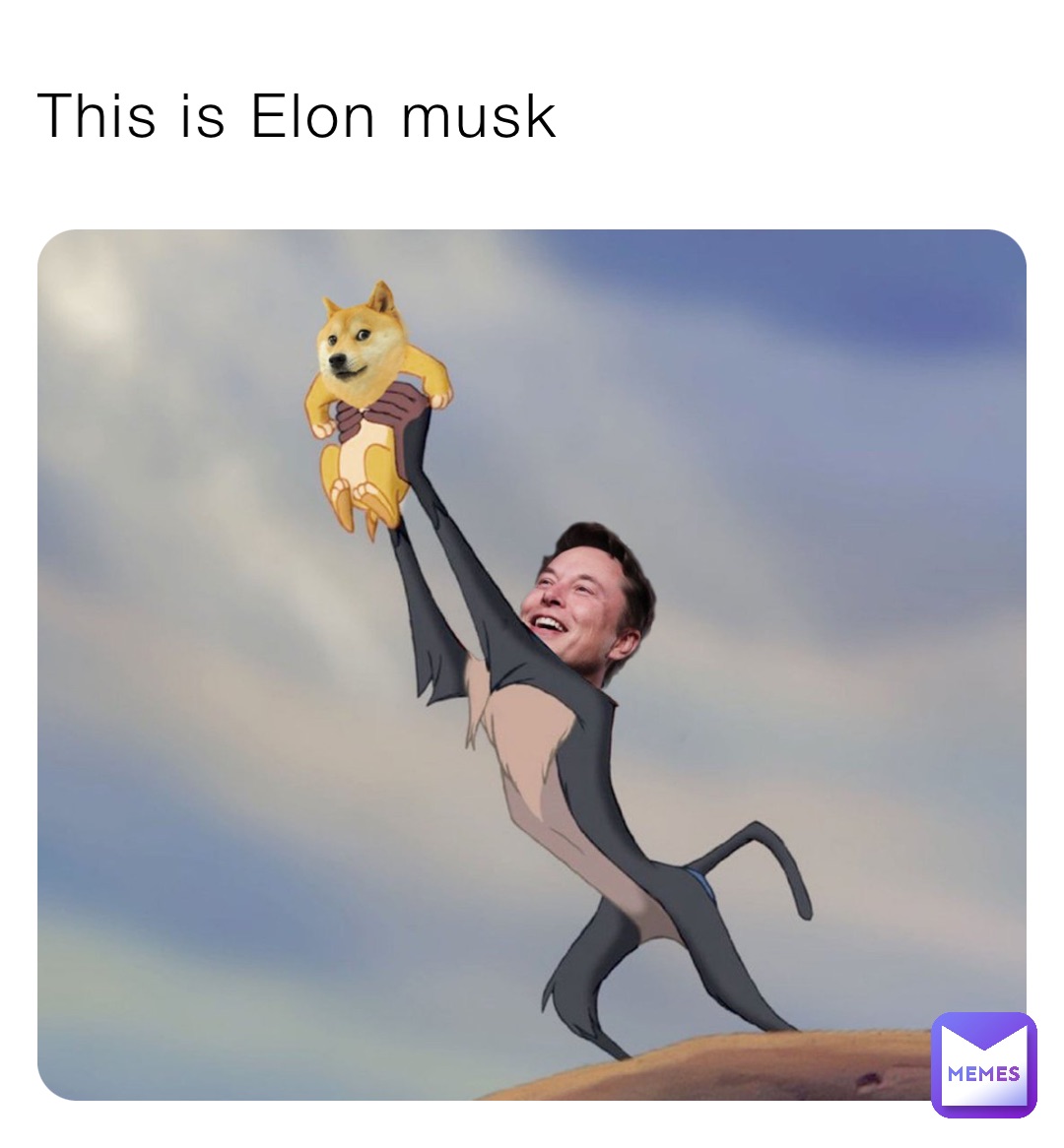 This is Elon musk