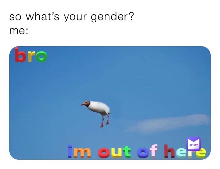 so what’s your gender? 
me: