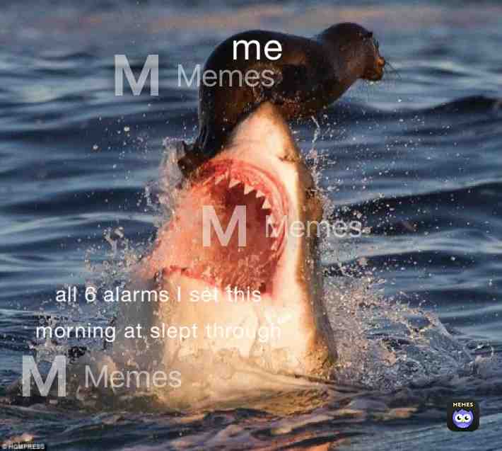 Meme shared by @grandmeme