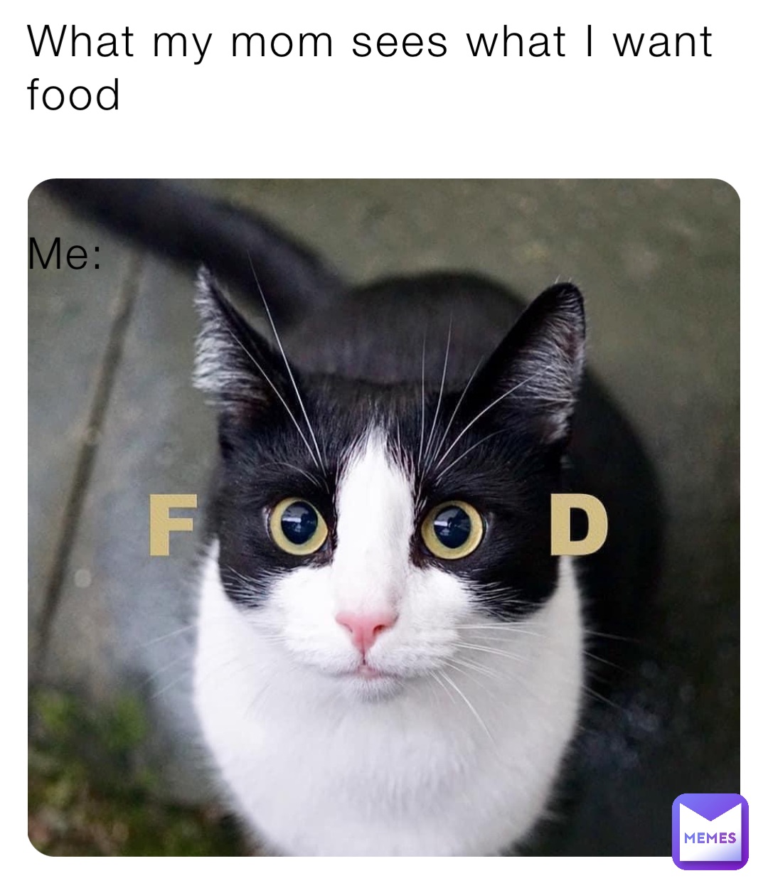 Meme by alex523higgins24