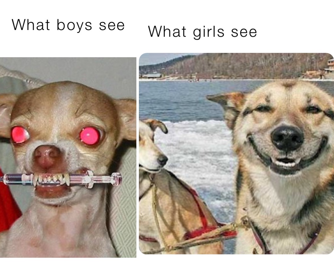 Meme by alex523higgins24