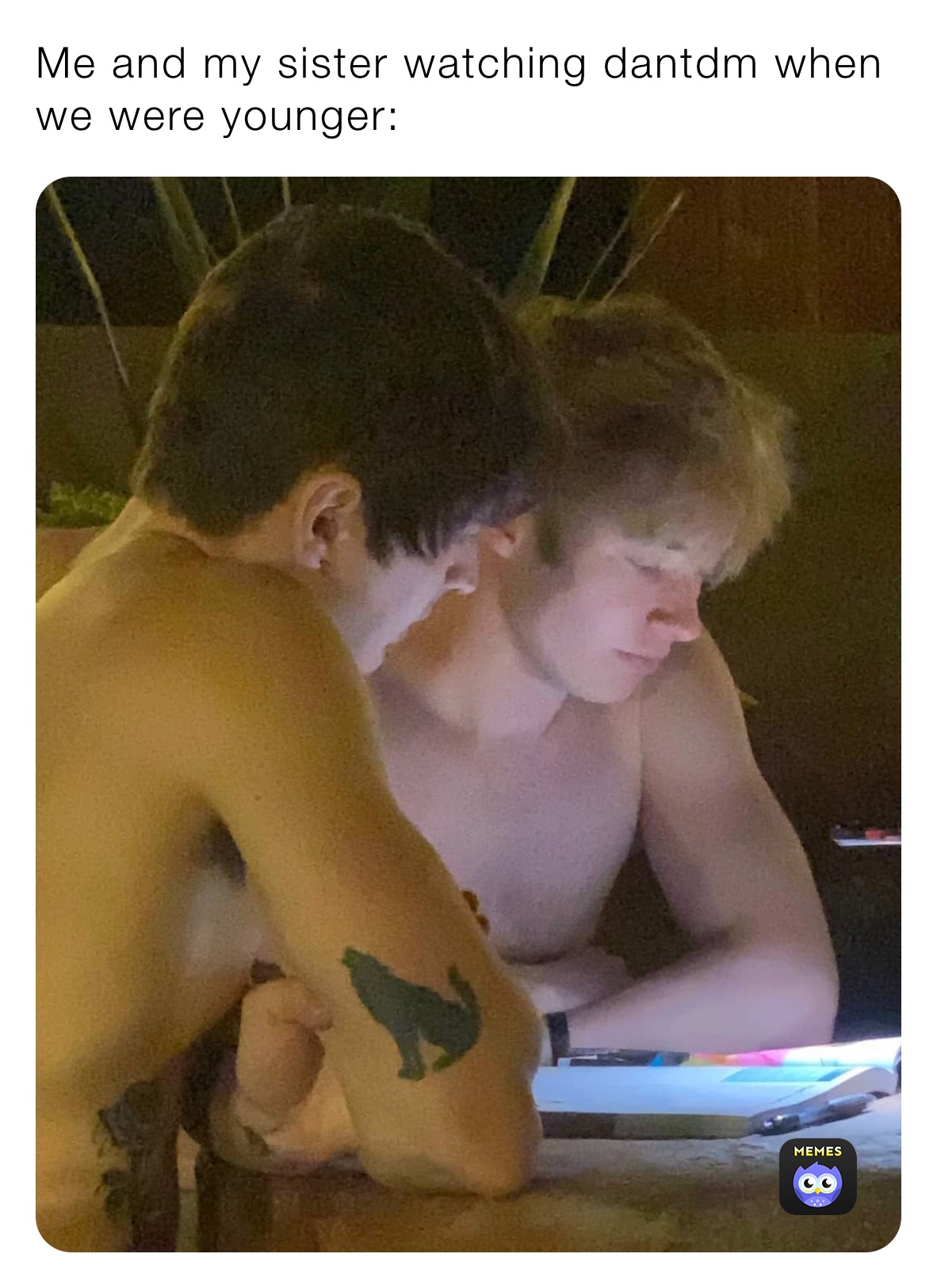 Me and my sister watching dantdm when we were younger: