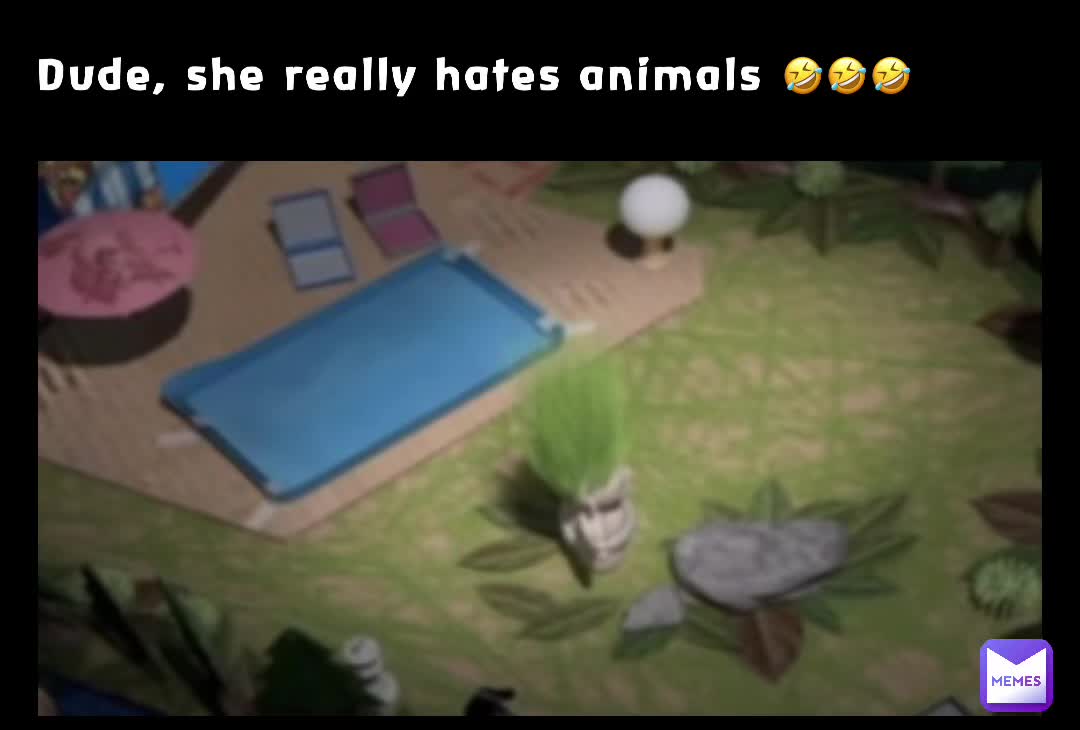 Post by @JAXtheMEMEguy | Memes