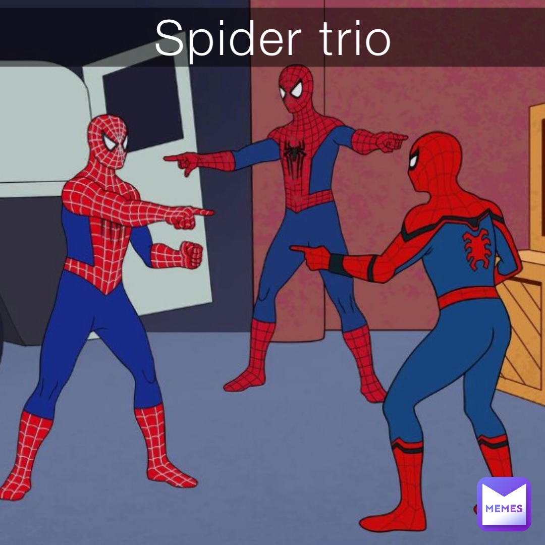 Spider trio