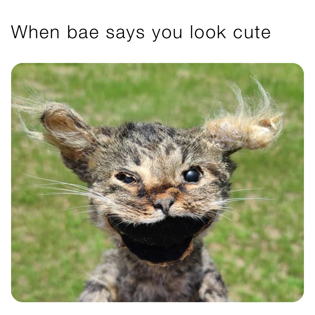 When bae says you look cute