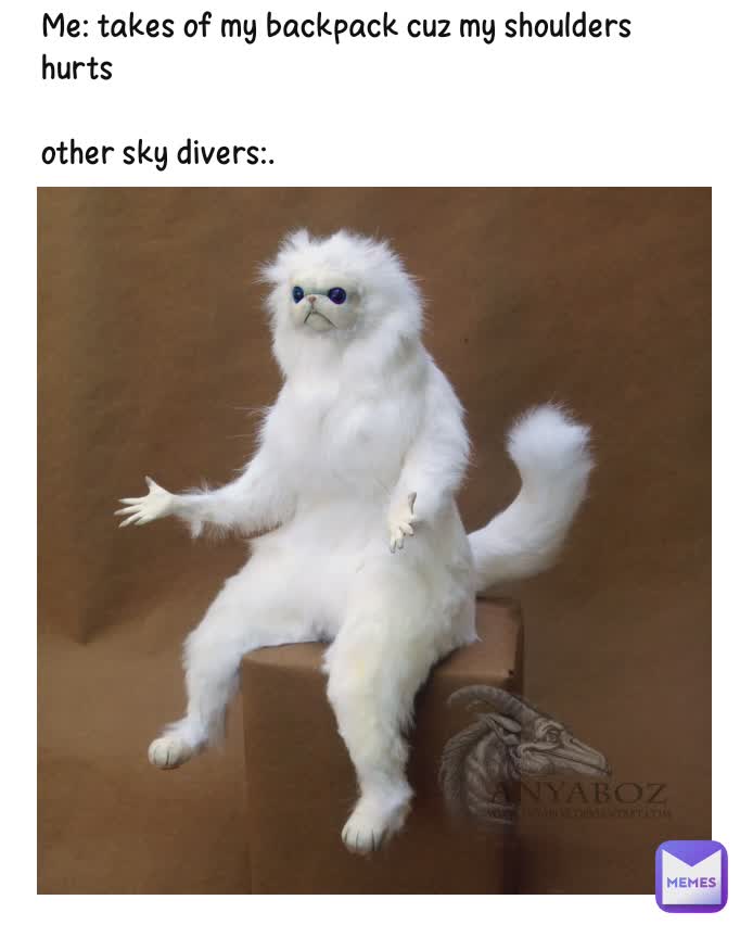 Me: takes of my backpack cuz my shoulders hurts

other sky divers:.        