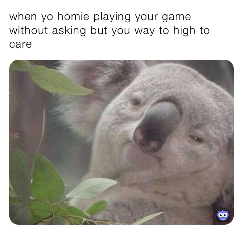 when yo homie playing your game without asking but you way to high to care