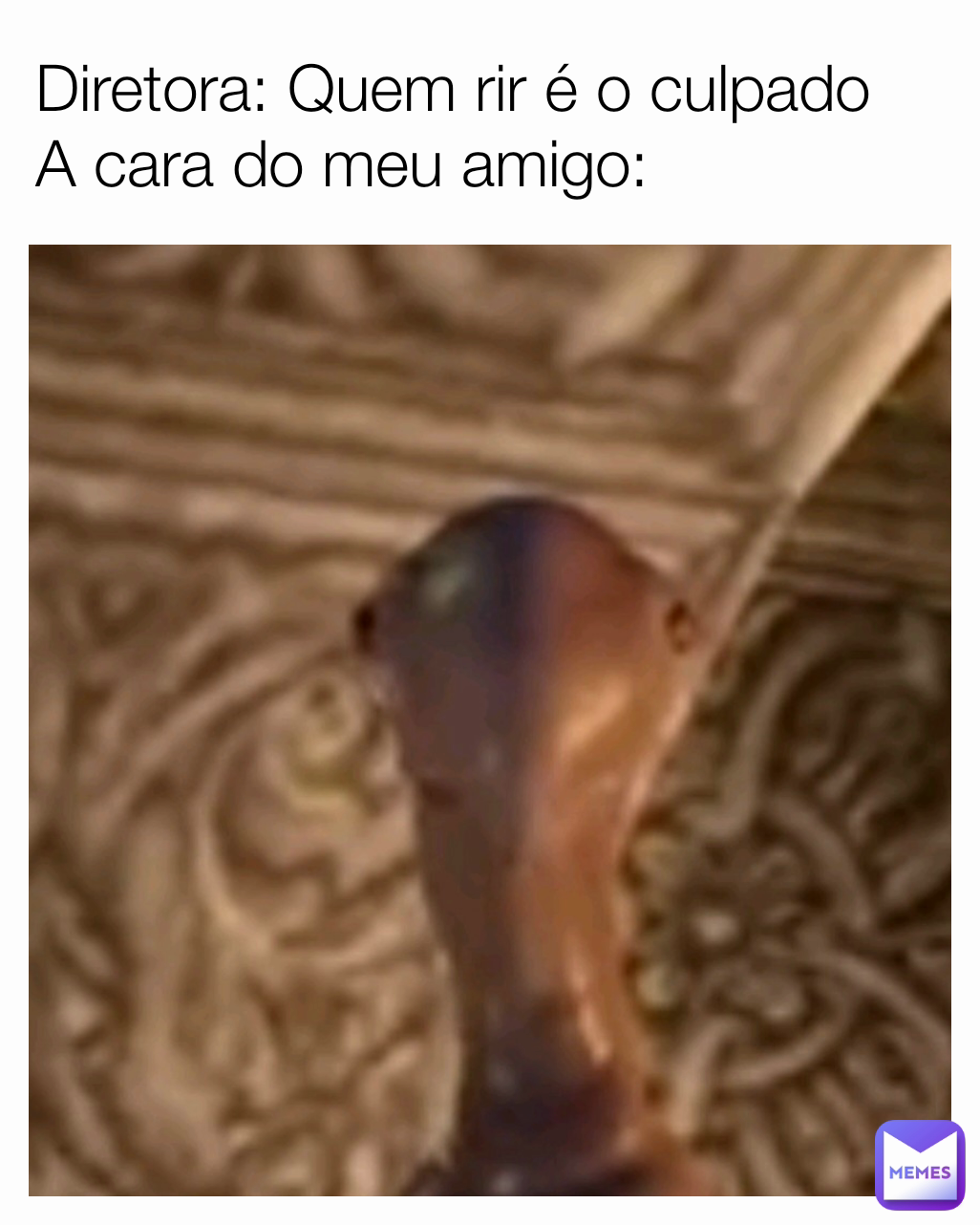 Diretora: Quem rir é o culpado
A cara do meu amigo: