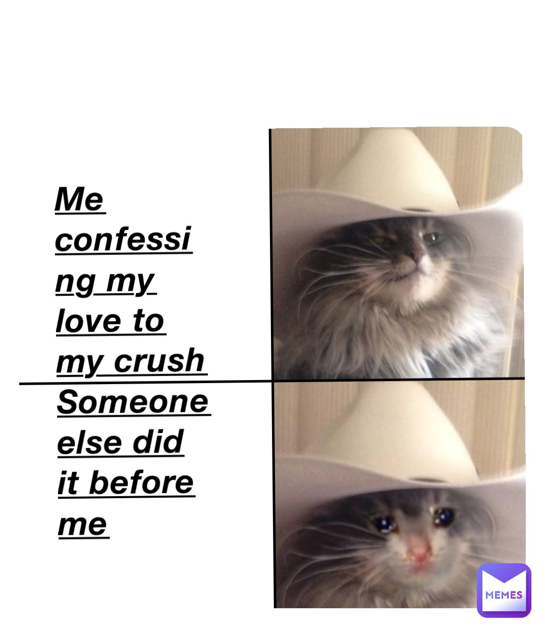 Me confessing my love to my crush 
Someone else did it before me