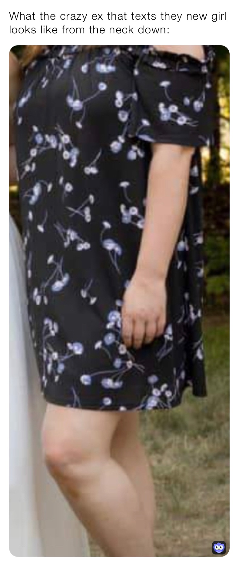 Meme by KollarEclipse