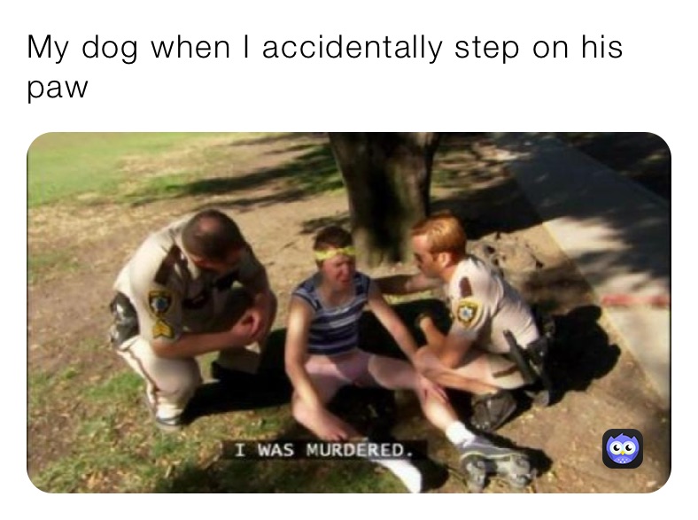 Meme by KollarEclipse