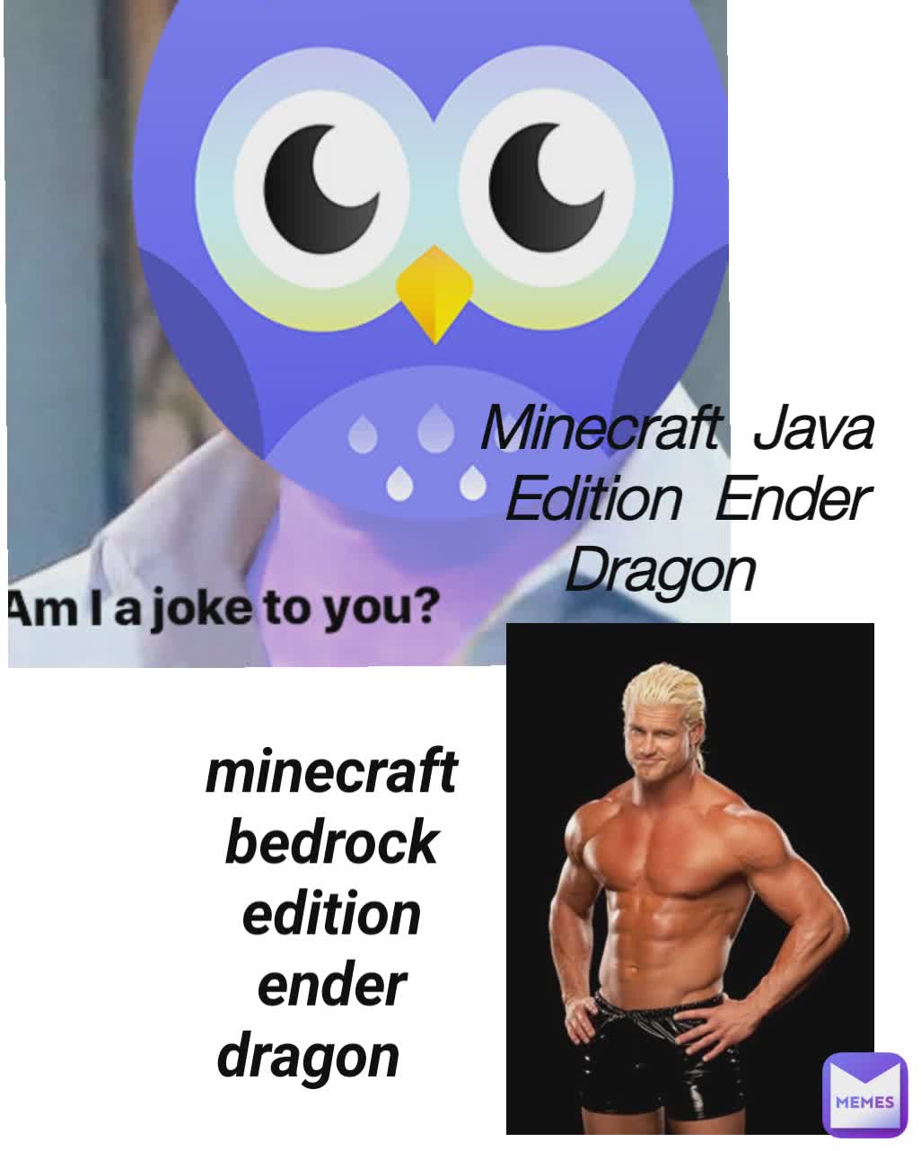Minecraft  Java
 Edition  Ender Dragon minecraft bedrock edition  ender dragon 