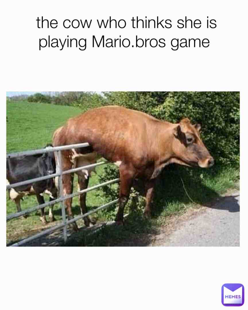 the one cow who plays video games