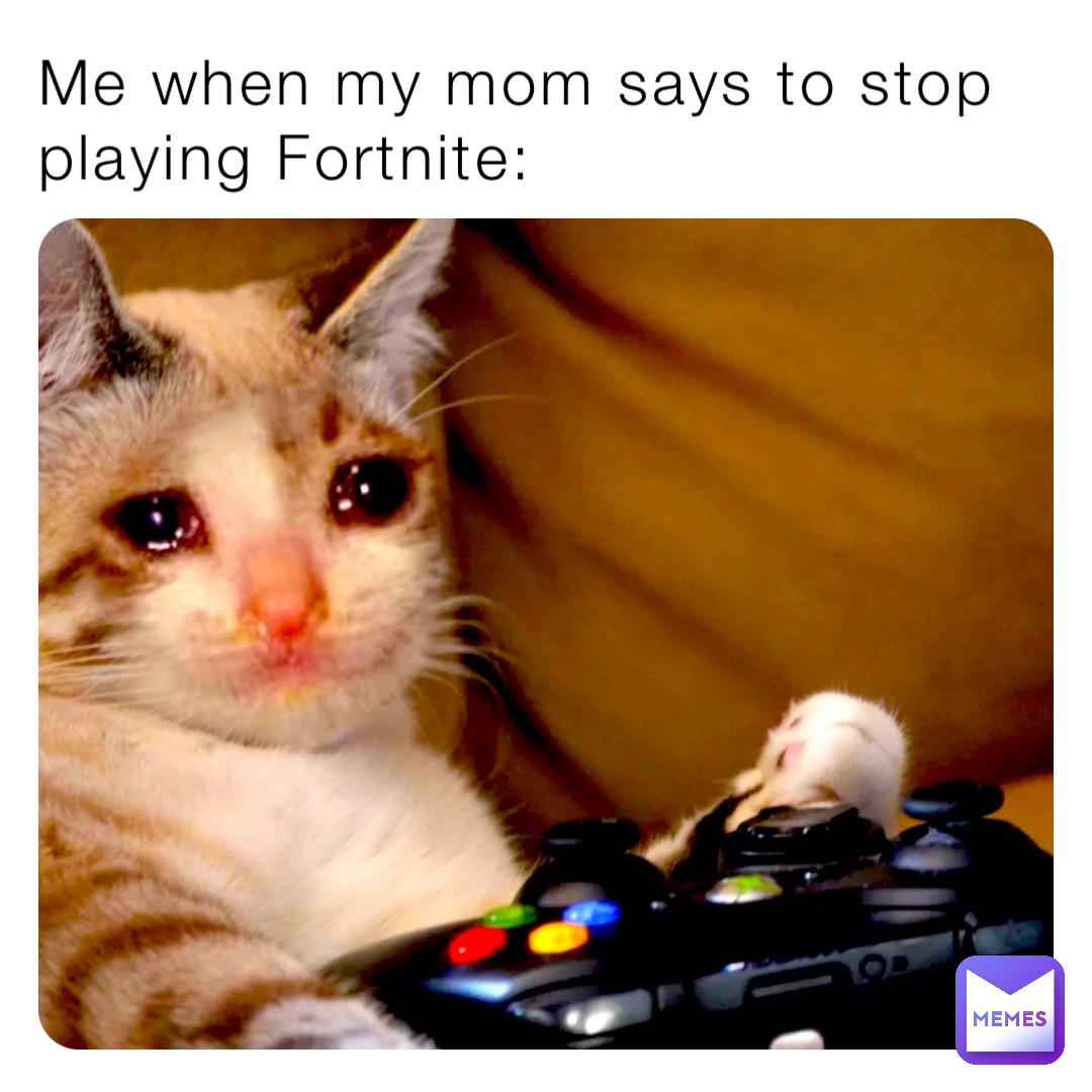 Me when my mom says to stop playing Fortnite: