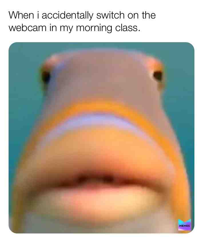 #memesespa #memes4life #memes4days #memesvideo #memesquad #mems #kalm #tigerkingmemes #laughs