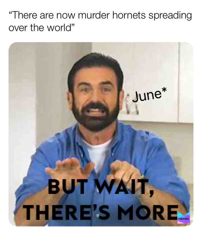 #memesespa #memes4life #memes4days #memesvideo #memesquad #mems #kalm #tigerkingmemes #laughs #memes2019 #lolmeme #hashtag #meeveryday #stonks #panik #lolmemes #memess #f #facebook #nibba #fuck #netflix #girls #haha #hehe #memes #memestar #memesquad #memess
