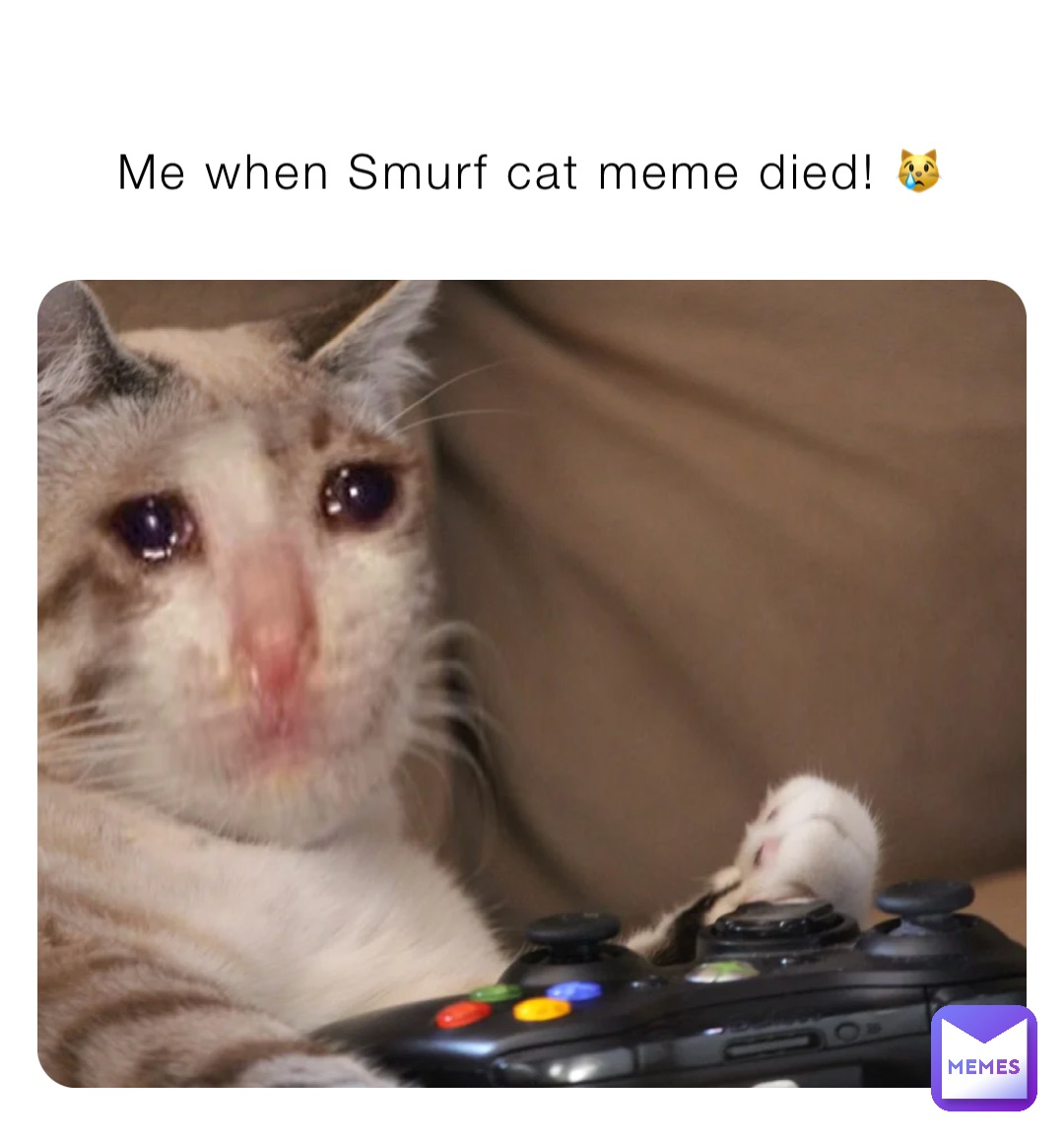 The Smurf Cat - Apps on Google Play