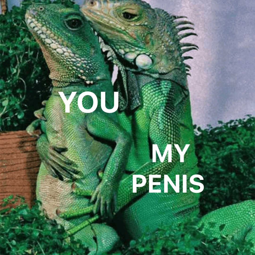 YOU MY 
PENIS