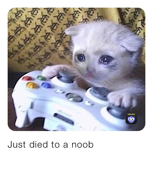 Just died to a noob
