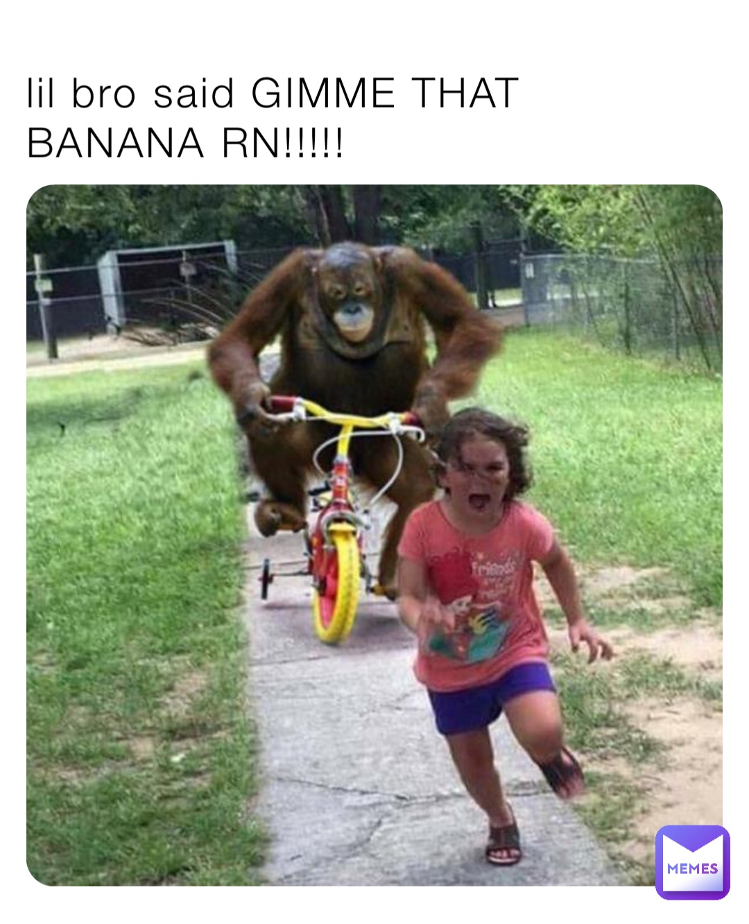 lil bro said GIMME THAT BANANA RN!!!!!