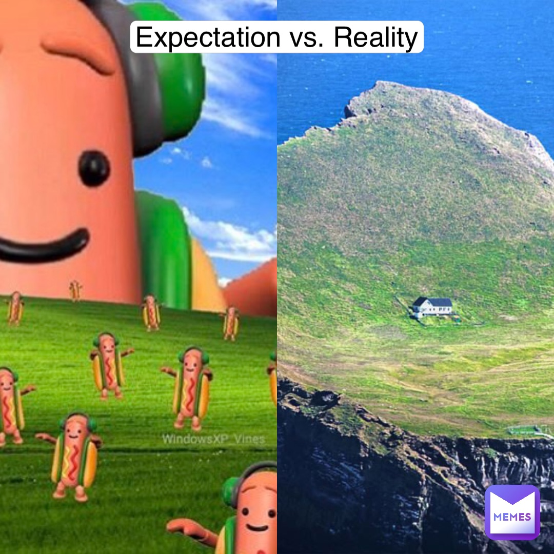 Expectation vs. Reality