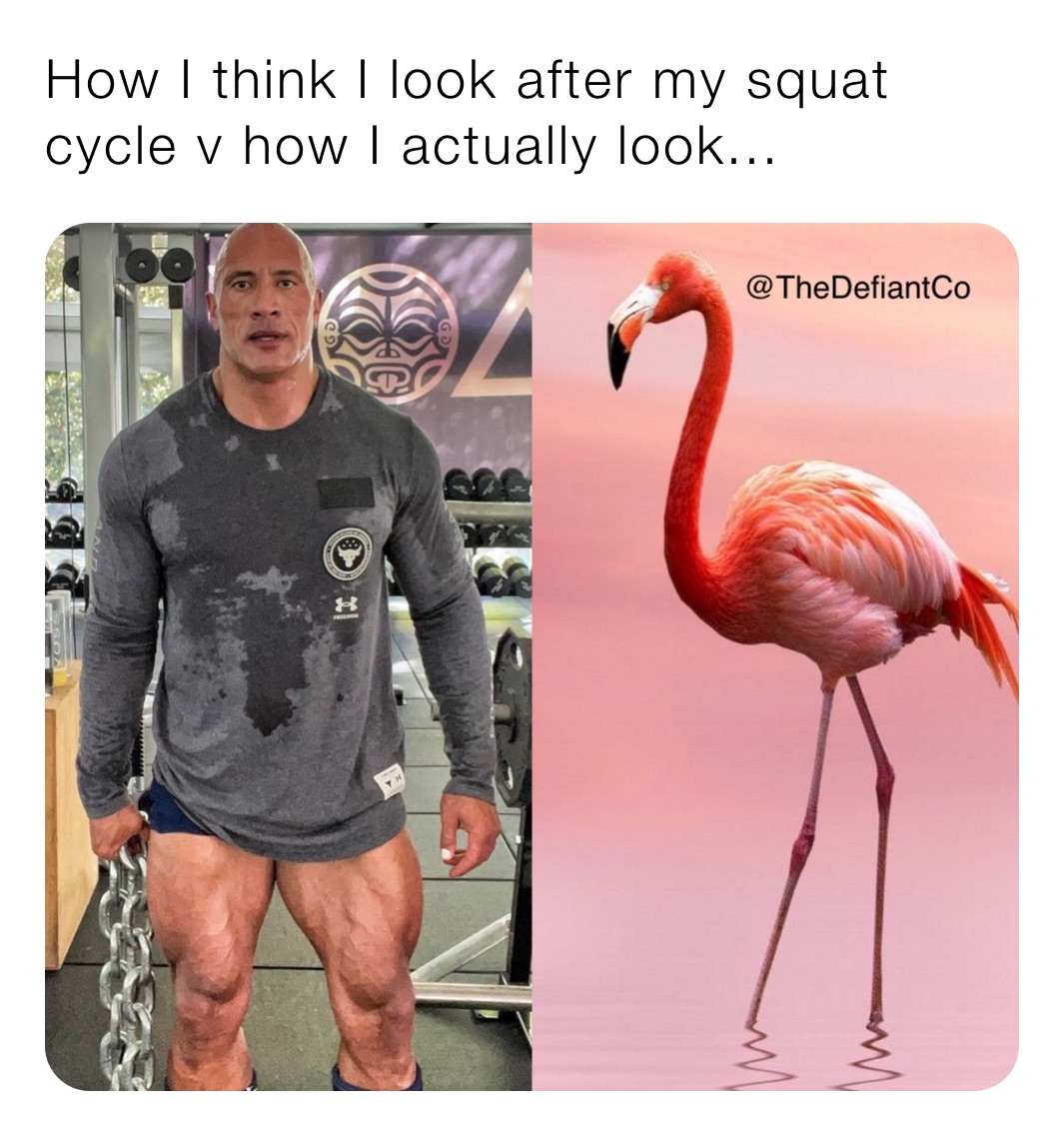 How I think I look after my squat cycle v how I actually look...