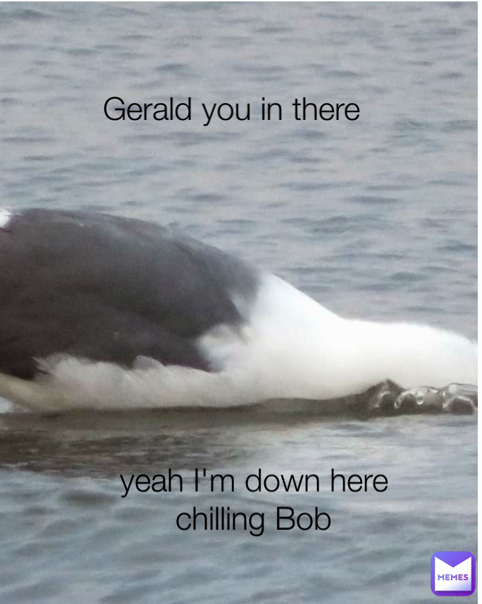 Gerald you in there yeah I'm down here chilling Bob