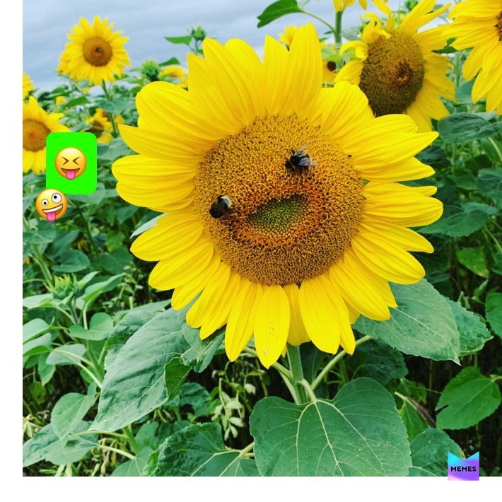 Meme by cassythefighter