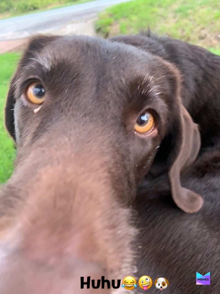 Meme by cassythefighter