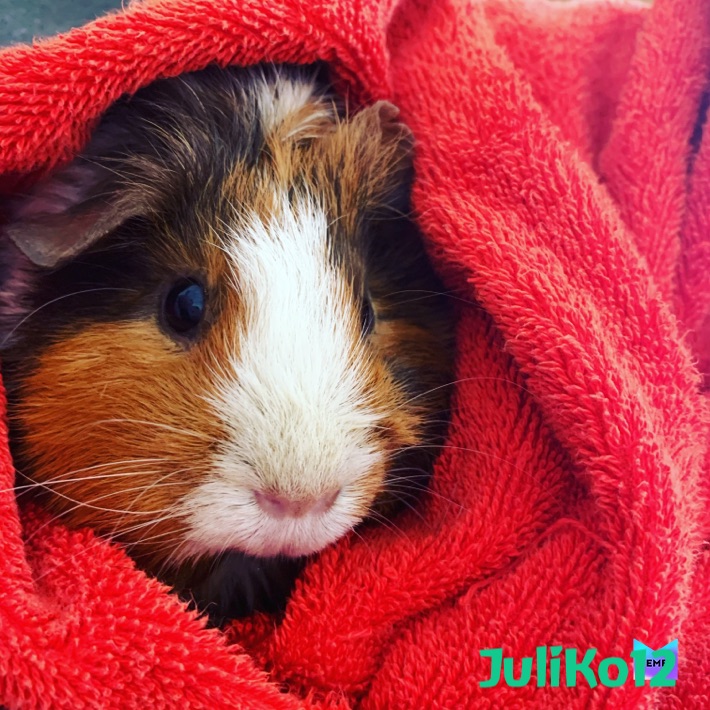 Meme by cassythefighter