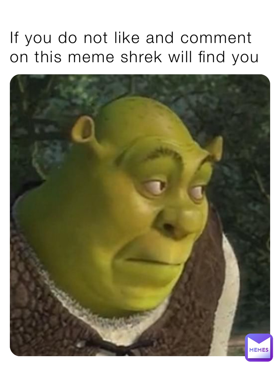 If you do not like and comment on this meme shrek will find you