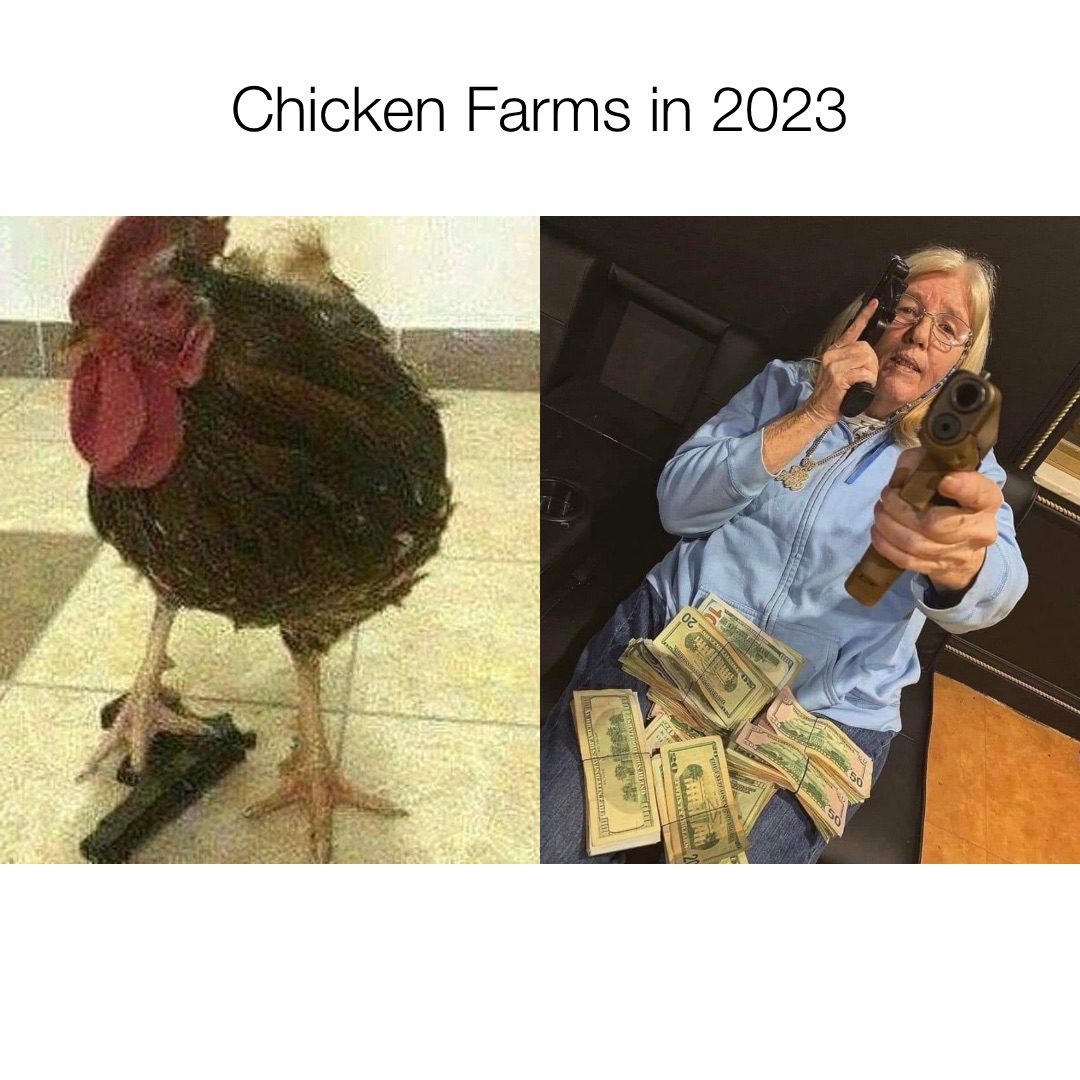 Chicken Farms in 2023